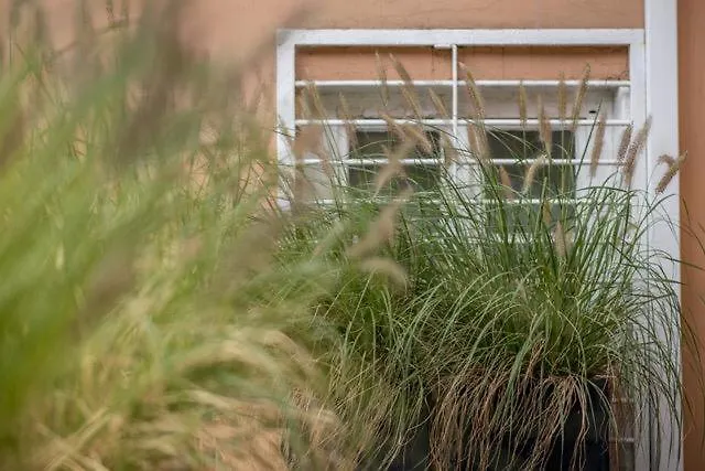 La Dolce Rynek 24h Self Check -in *